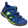 Blue depths / chartreuse