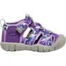 Camo / tillandsia purple