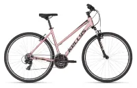 Kellys Clea 10 Rose Gold 28" Trapez Kellys Clea 10 Rose Gold 28" Trapez