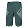 Kellys Enduro Kurze Hose, Blue