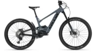 Kellys Theos R50 LTD P Magic green 29" 725 Wh Diamant Kellys Theos R50 LTD P Magic green 29" 725 Wh Diamant