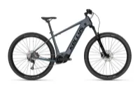 Kellys Tygon R10 AIR P Light Grey 29" 725 Wh Diamant Kellys Tygon R10 AIR P Light Grey 29" 725 Wh Diamant