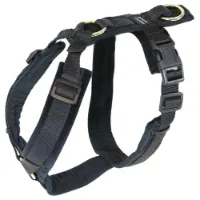 Kentucky Active Velvet Hundegeschirr Kentucky Active Velvet Hundegeschirr