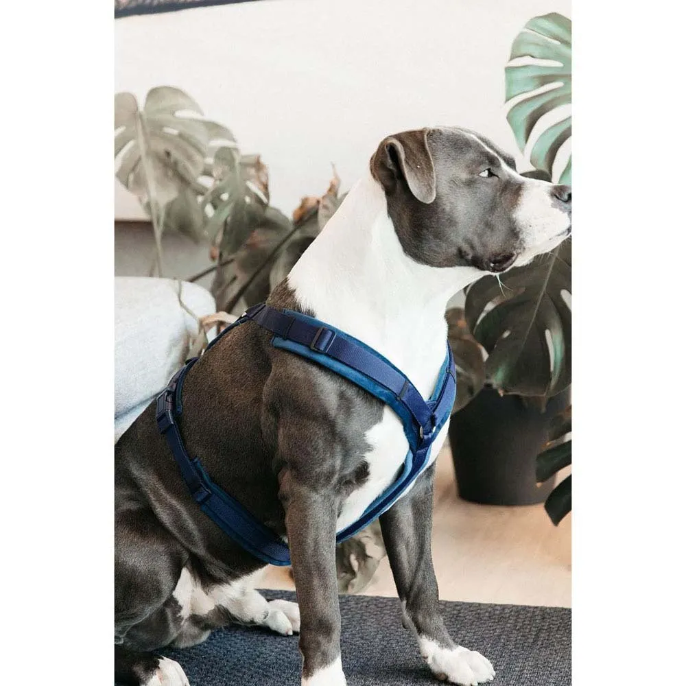 Kentucky Active Velvet Hundegeschirr Kentucky Active Velvet Hundegeschirr