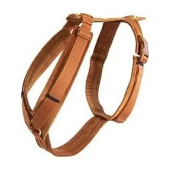 Kentucky Active Velvet Hundegeschirr