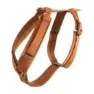 Kentucky Active Velvet Hundegeschirr