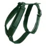 Pine green