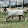 Kentucky Hunderegen Hundepullover