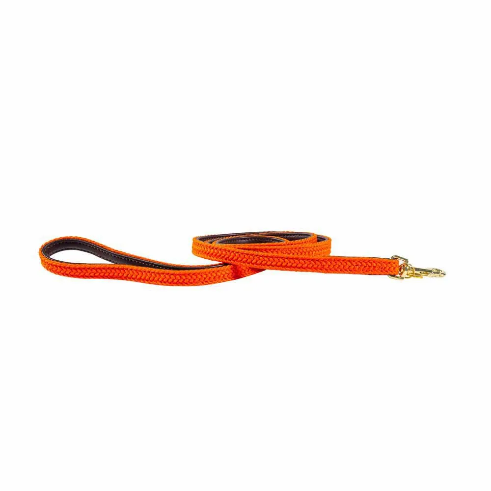 Kentucky Nylon Plaited Führleine 12 Mm Kentucky Nylon Plaited Führleine 12 Mm