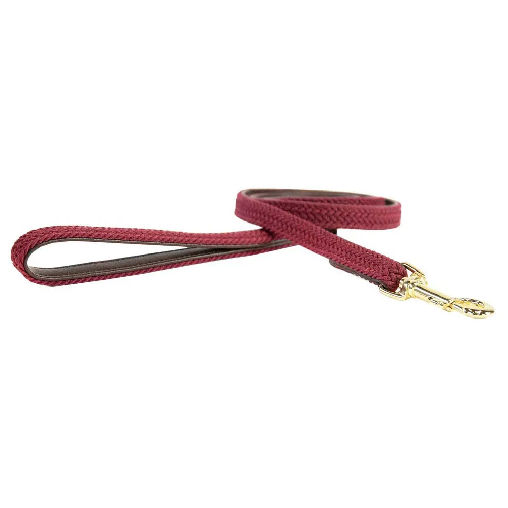 Kentucky Nylon Plaited Führleine 15 Mm Kentucky Nylon Plaited Führleine 15 Mm