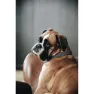 Kentucky Nylon Plaited Hundehalsband