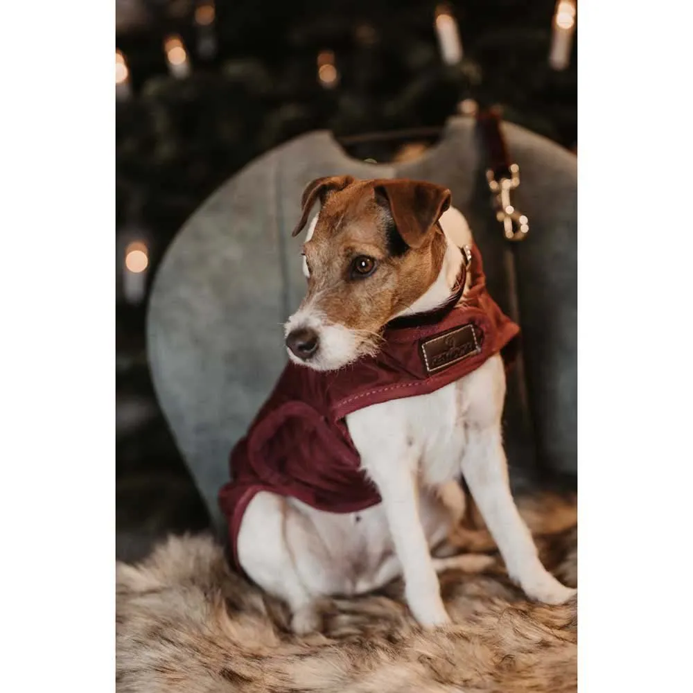 Kentucky Original Hundejacke