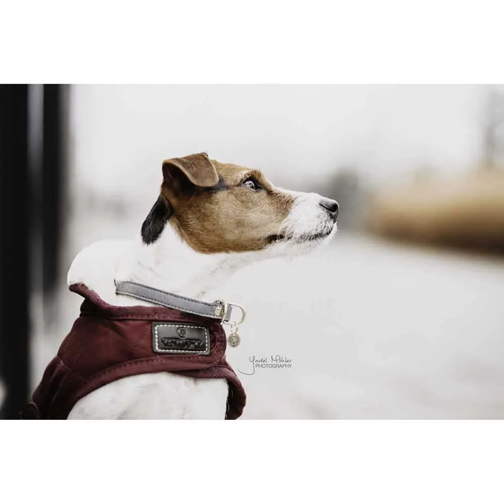 Kentucky Original Hundejacke