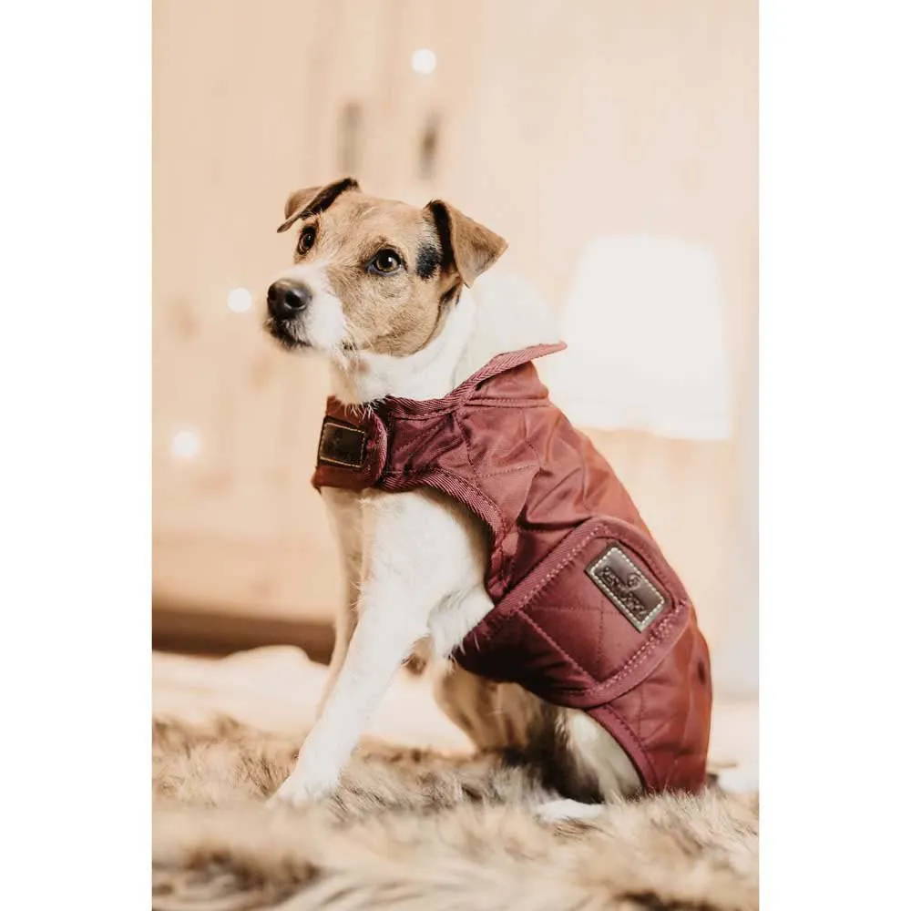 Kentucky Original Hundejacke