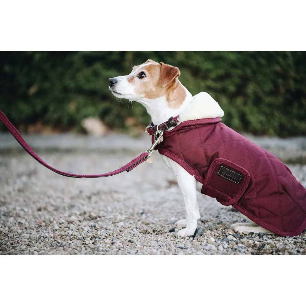 Kentucky Original Hundejacke