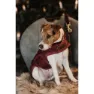 Kentucky Original Hundejacke