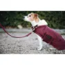 Kentucky Original Hundejacke