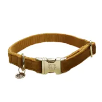 Kentucky Velvet Hundehalsband Kentucky Velvet Hundehalsband