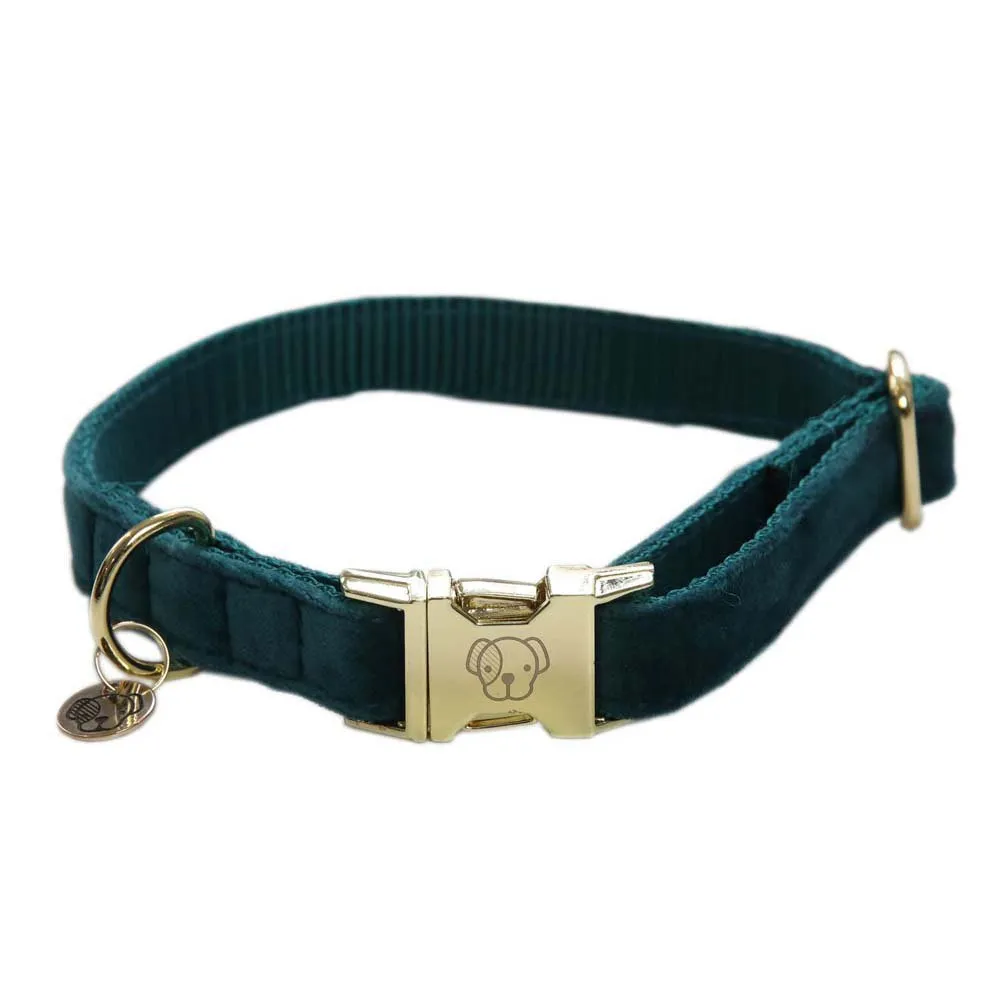 Kentucky Velvet Hundehalsband Kentucky Velvet Hundehalsband