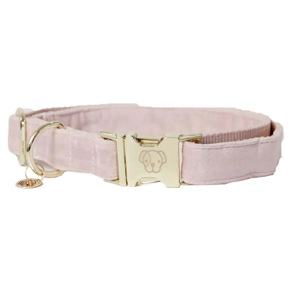 Kentucky Velvet Hundehalsband