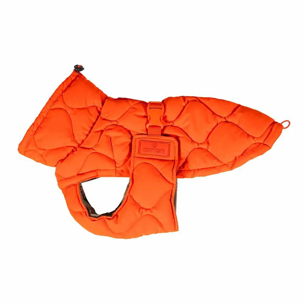Kentucky Winter Pina Hundejacke