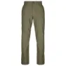 Brown 1