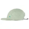 Swamp green-silver green