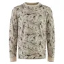 Lichen clay