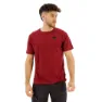 Dark russet 1