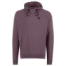 Boysenberry 1
