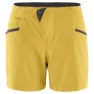 Klättermusen Vanadis 2.0 Kurze Hose