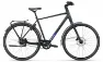Koga F3 8.0 - 11N Diamant