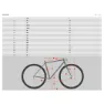 Kona Honzo 24´´ Altus 2024 Mountainbike, Gloss faux chrome, One Size