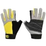 Yellow / black