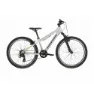 Kross Dust 1.0 24´´ Tourney Tx800 2024 Mountainbike, Grey, S