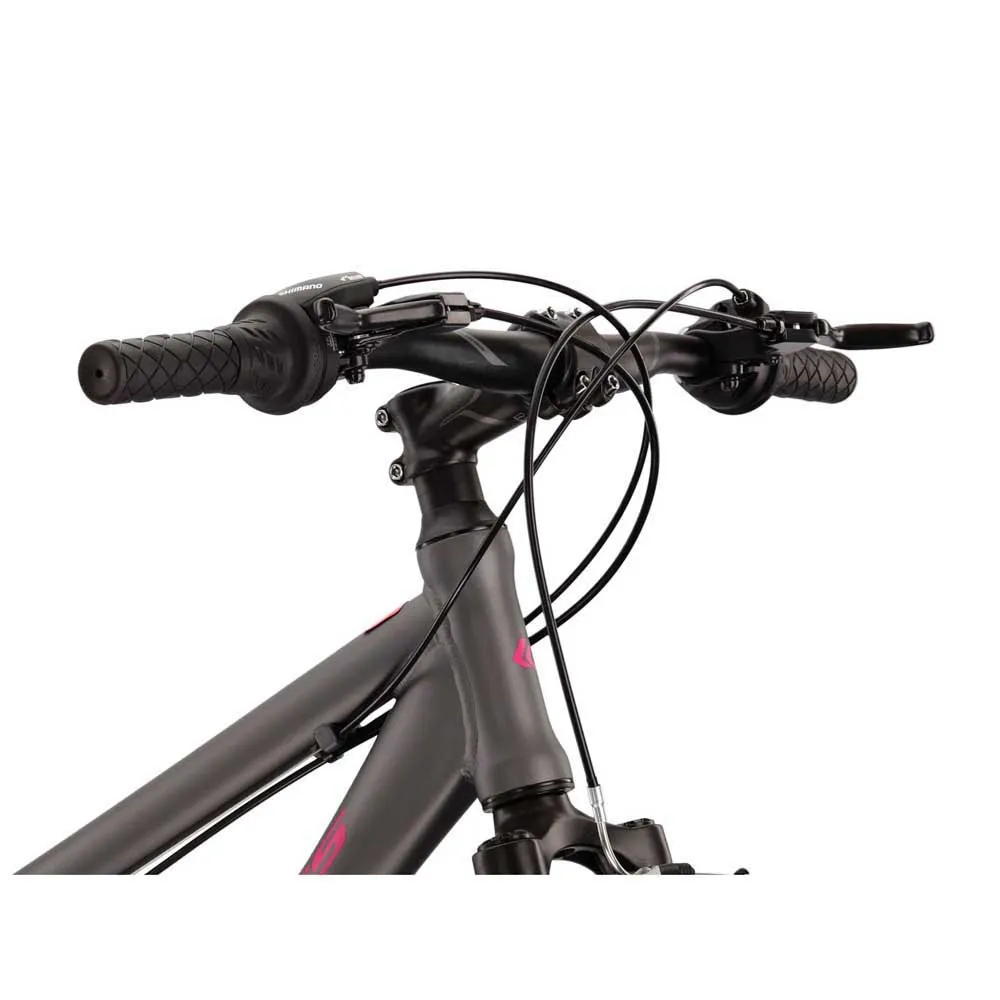 Kross Evado 1.0 700 Tourney Ty300 Lady 2023 Fahrrad Kross Evado 1.0 700 Tourney Ty300 Lady 2023 Fahrrad