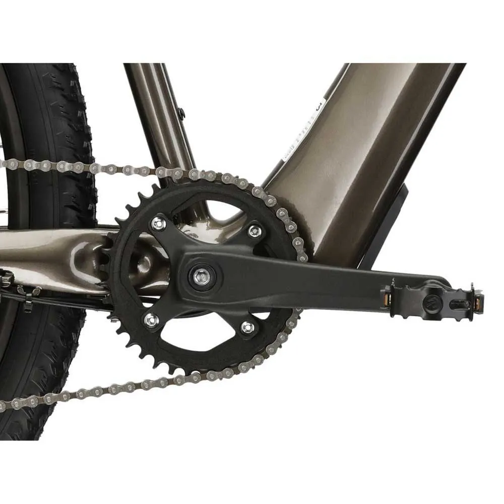 Kross Hexagon Boost 2.0 29´´ 2024 Elektrische Mountainbike Kross Hexagon Boost 2.0 29´´ 2024 Elektrische Mountainbike