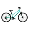 Mint / black