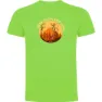 Light green 1