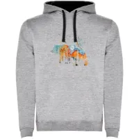 Kruskis Compass Bear Kapuzenpullover Kruskis Compass Bear Kapuzenpullover