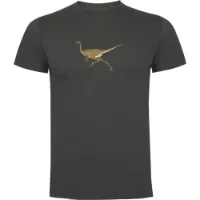 Kruskis Dino Run Kurzarm-t-shirt female