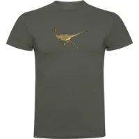 Kruskis Dino Run Kurzarm-t-shirt female