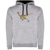 Kruskis Dino Run Two-colour Kapuzenpullover male