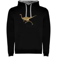 Kruskis Dino Run Two-colour Kapuzenpullover male