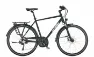 Ktm AVENZA DISC 18K Diamant
