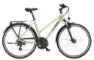 Ktm Life Joy champagne matt (grey+oak) 2024 28" Trapez