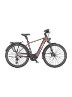 Ktm Macina Style 720 sunset matt (champagne+black) 28" 750 Wh Diamant Ktm Macina Style 720 sunset matt (champagne+black) 28" 750 Wh Diamant