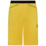 Yellow / black