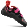 Carbon / springtime