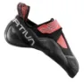 Hibiscus / black 2
